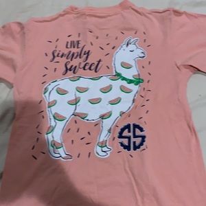 Llama Simply Southern🦩3 for 10 t-shirts🦩